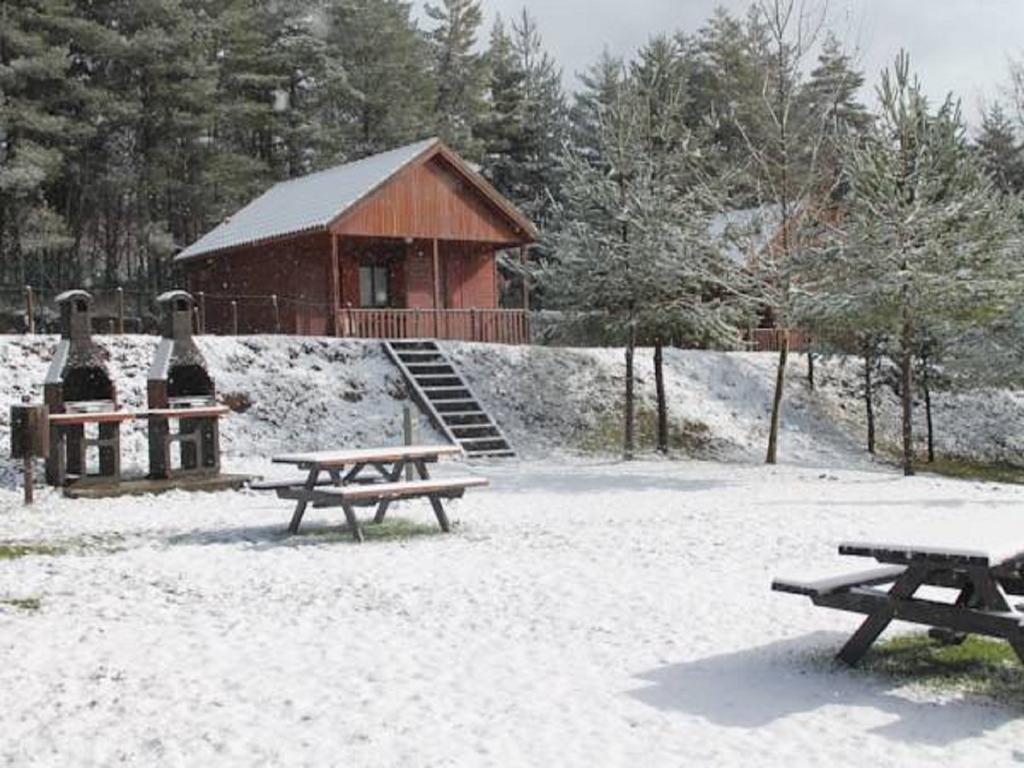 Parque Biologico De Vinhais Zewnętrze zdjęcie